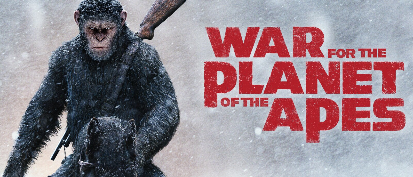 War for the Planet of the Apes