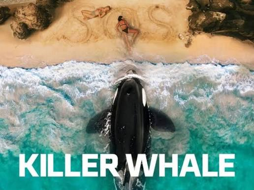 Killer Whale